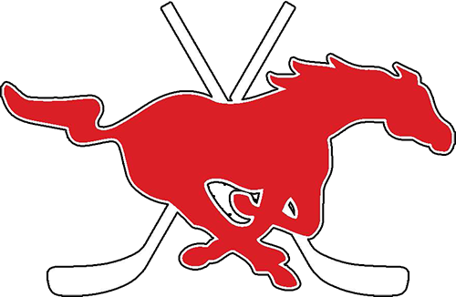 Parkway Central Hockey